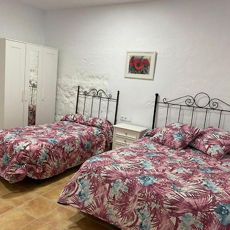 La Casa Del Olivo Villa Écija Dış mekan fotoğraf