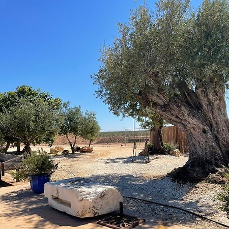 La Casa Del Olivo Villa Écija Dış mekan fotoğraf