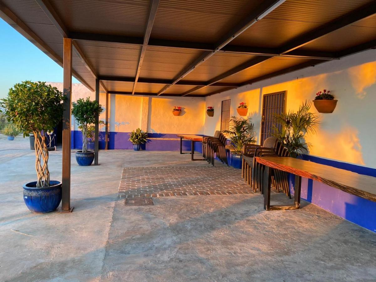 La Casa Del Olivo Villa Écija Dış mekan fotoğraf
