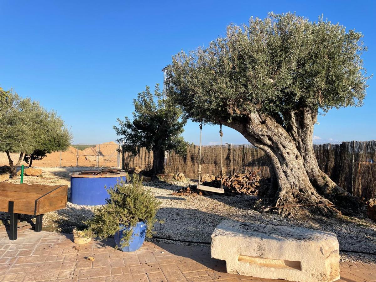 La Casa Del Olivo Villa Écija Dış mekan fotoğraf