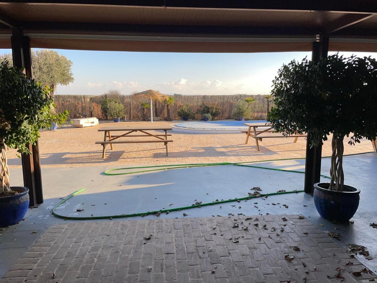 La Casa Del Olivo Villa Écija Dış mekan fotoğraf